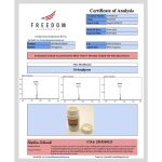 Orforglipron 6MG 90 Capsules - Image 2